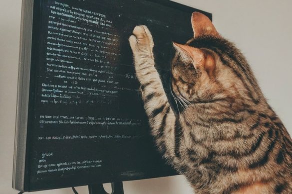 een kat, staand op zijn achterpoten tegen het beeldscherm van een computer vol met data, krabt met zijn nagels over het scherm